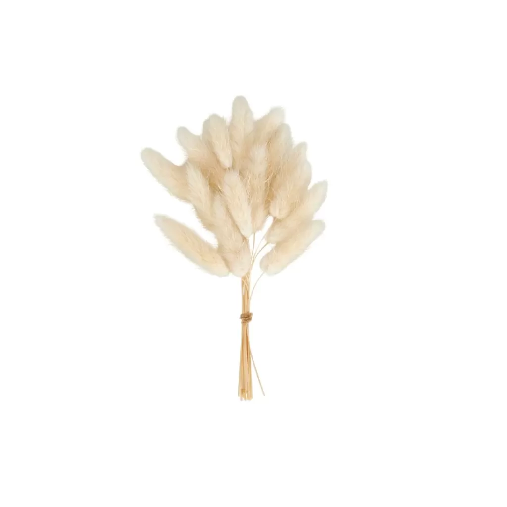 Sale ADDO Florero Crema Floreros