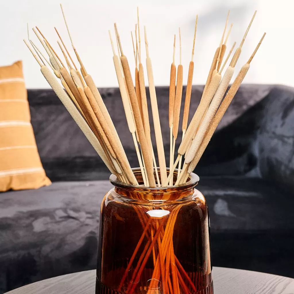 Discount AFRIKA Florero Natural Floreros