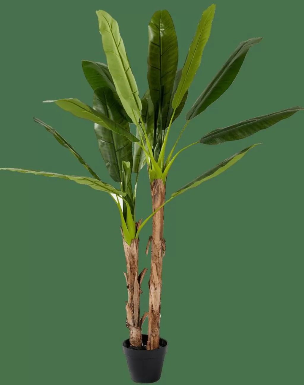 Shop BANANA Platanera Verde Plantas Artificiales