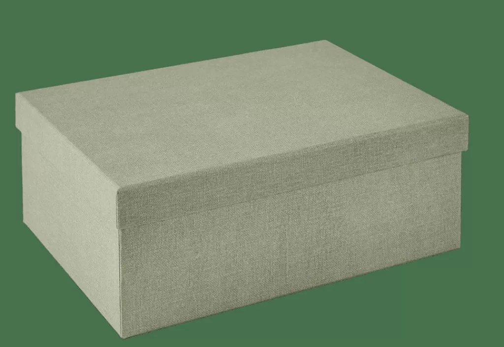 Best Sale BIGSO Caja De Almacenaje M Menta Cajas De Almacenamiento