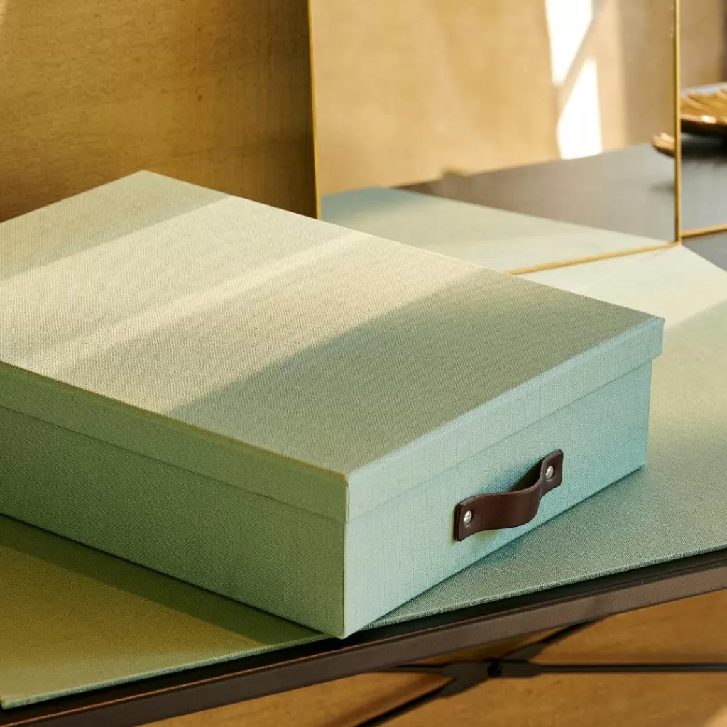 Clearance BIGSO Caja De Cartón Menta Cajas De Almacenamiento