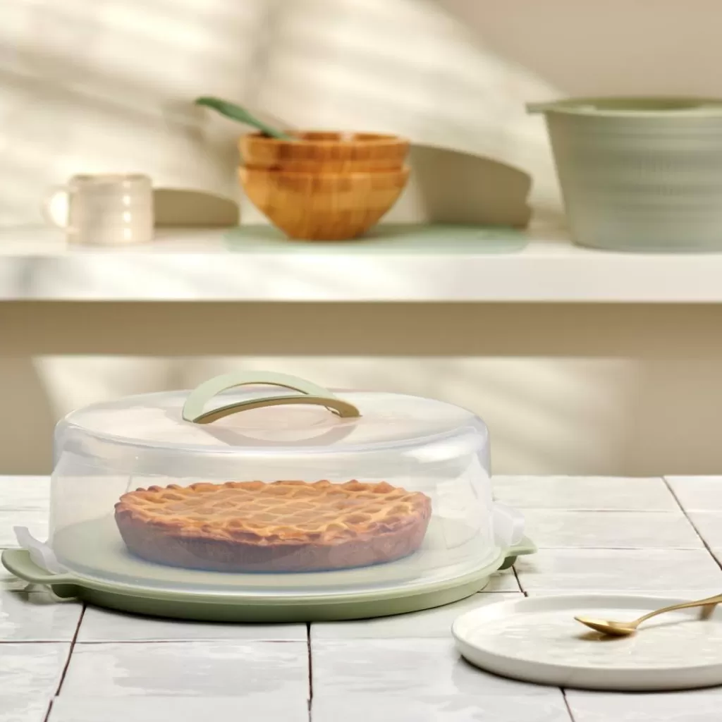 Fashion BIOLINE Bandeja Con Tapa Para Tartas Menta Taperes | Instrumentos De Cocina