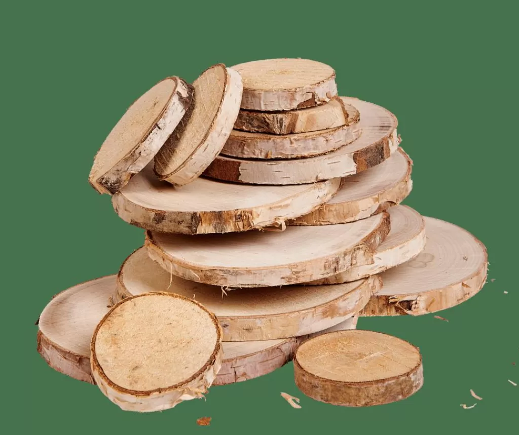 New BIRCH Madera Abedul Deco 15 Unidades Natural Otoño