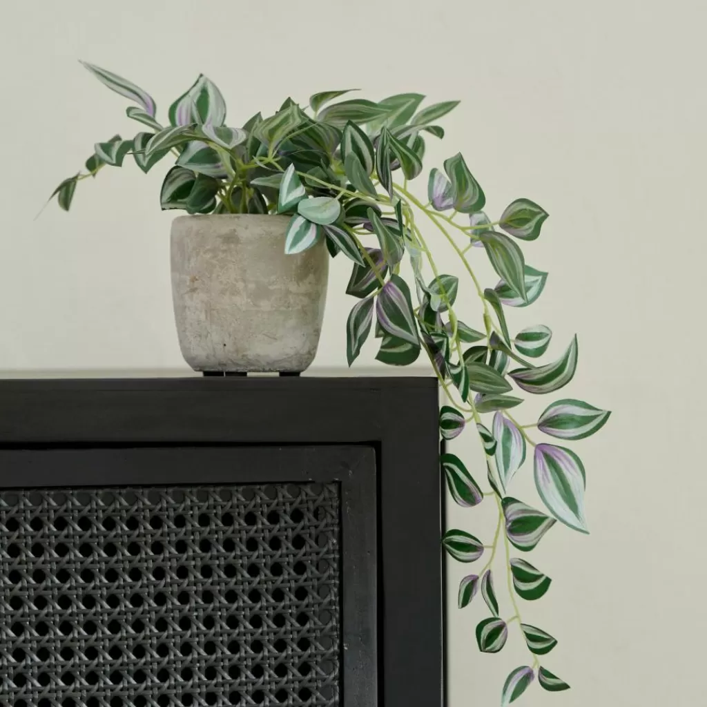 Store CALATHEA Planta Colgante Gris, Verde, Morado Plantas Artificiales