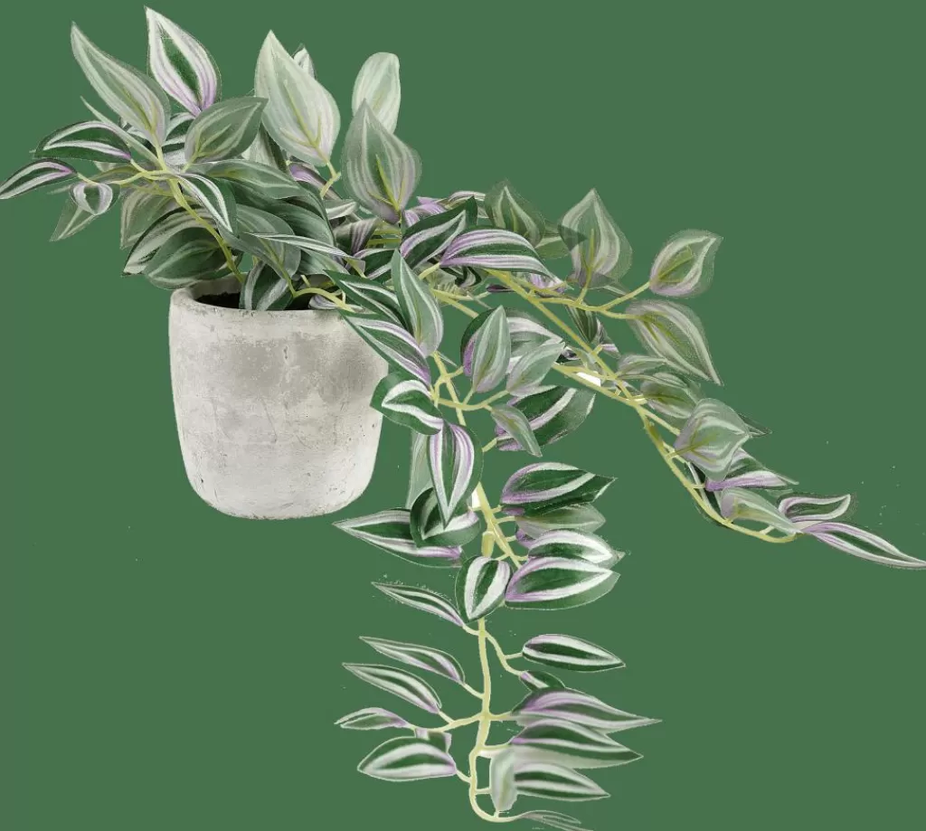 Store CALATHEA Planta Colgante Gris, Verde, Morado Plantas Artificiales