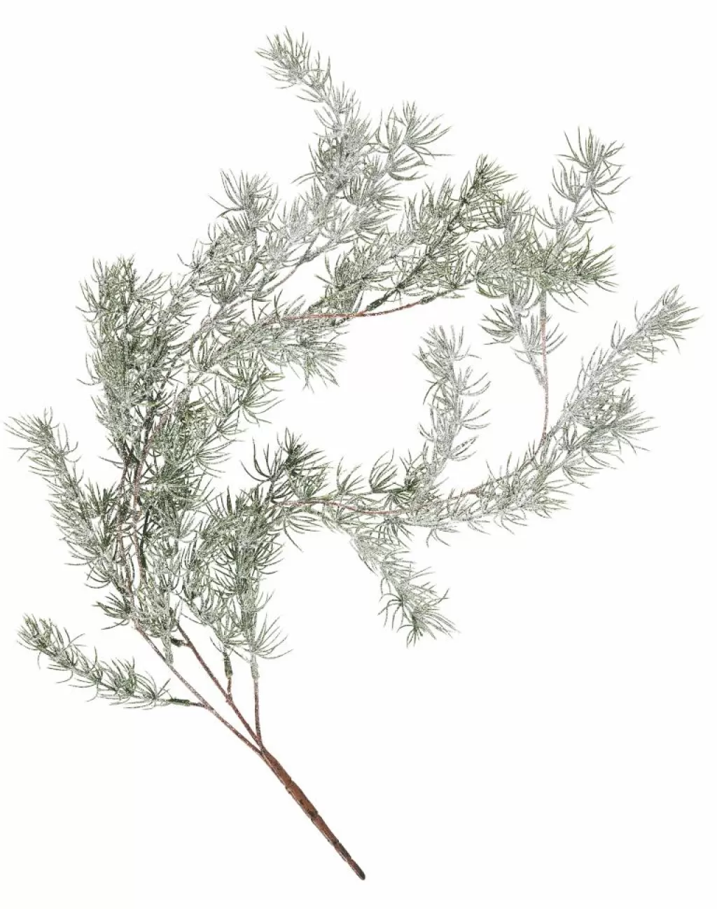 Cheap CEDER Rama Decorativa Verde Ramos Artificiales