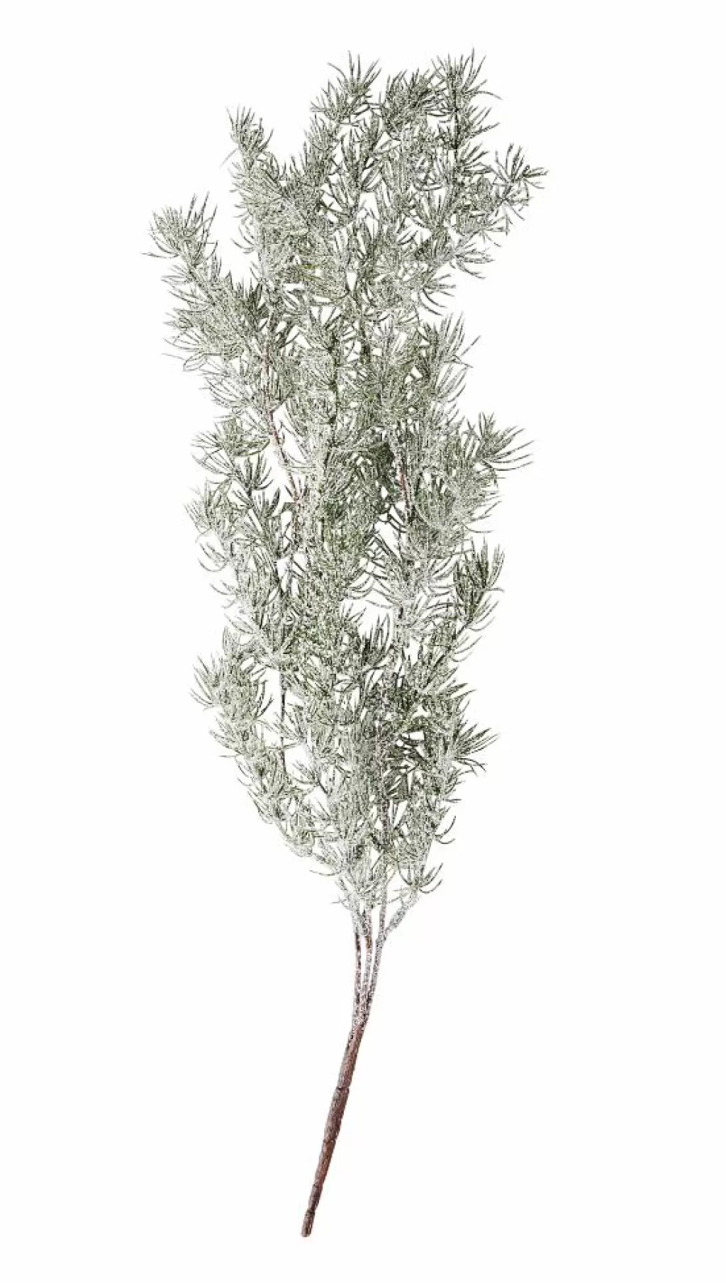 Cheap CEDER Rama Decorativa Verde Ramos Artificiales