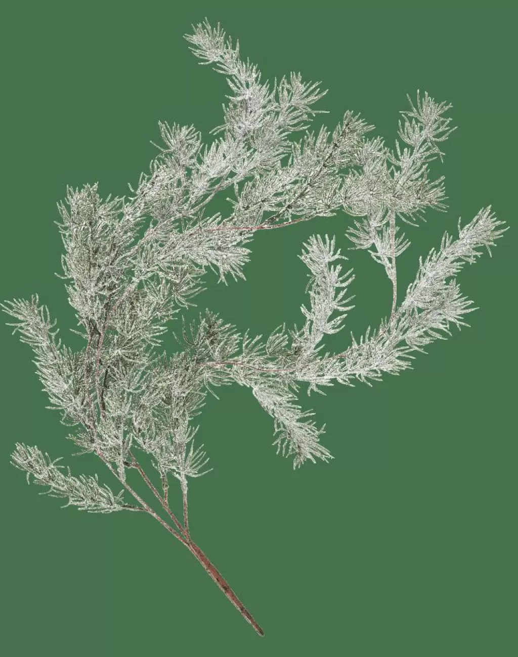 Sale CEDER Rama Decorativa Verde Ramos Artificiales