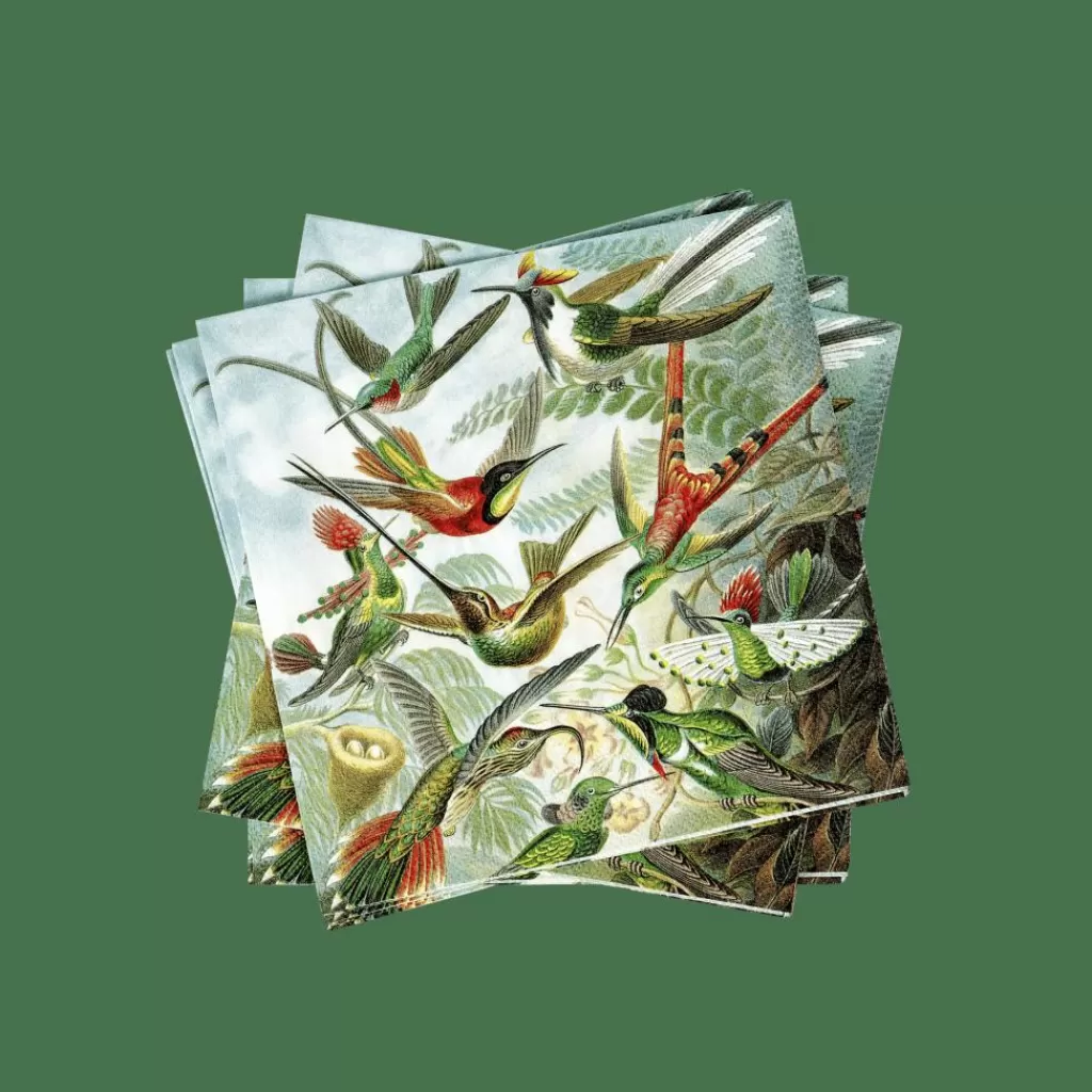 Cheap COLIBRI Paquete De 20 Servilletas Multicolor Servilletas