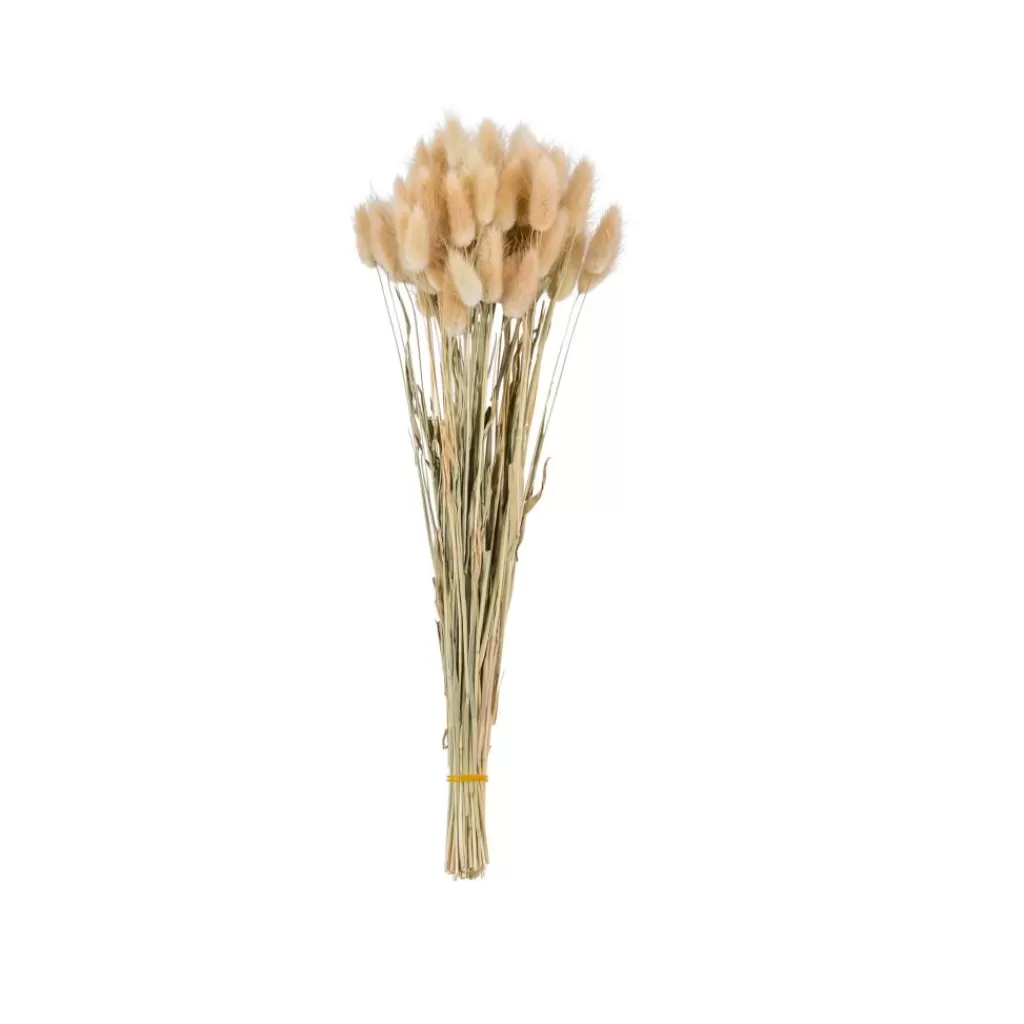 Clearance DAMA J Dame Jeanne Marrón Floreros