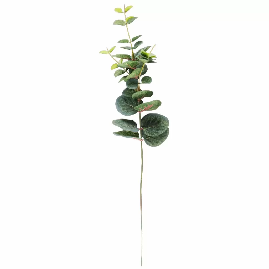 Shop EUCALYPTUS Corona Verde Ramos Artificiales