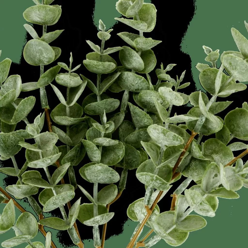 Clearance EUCALYPTUS Rama De Eucalipto Verde Flores Artificiales