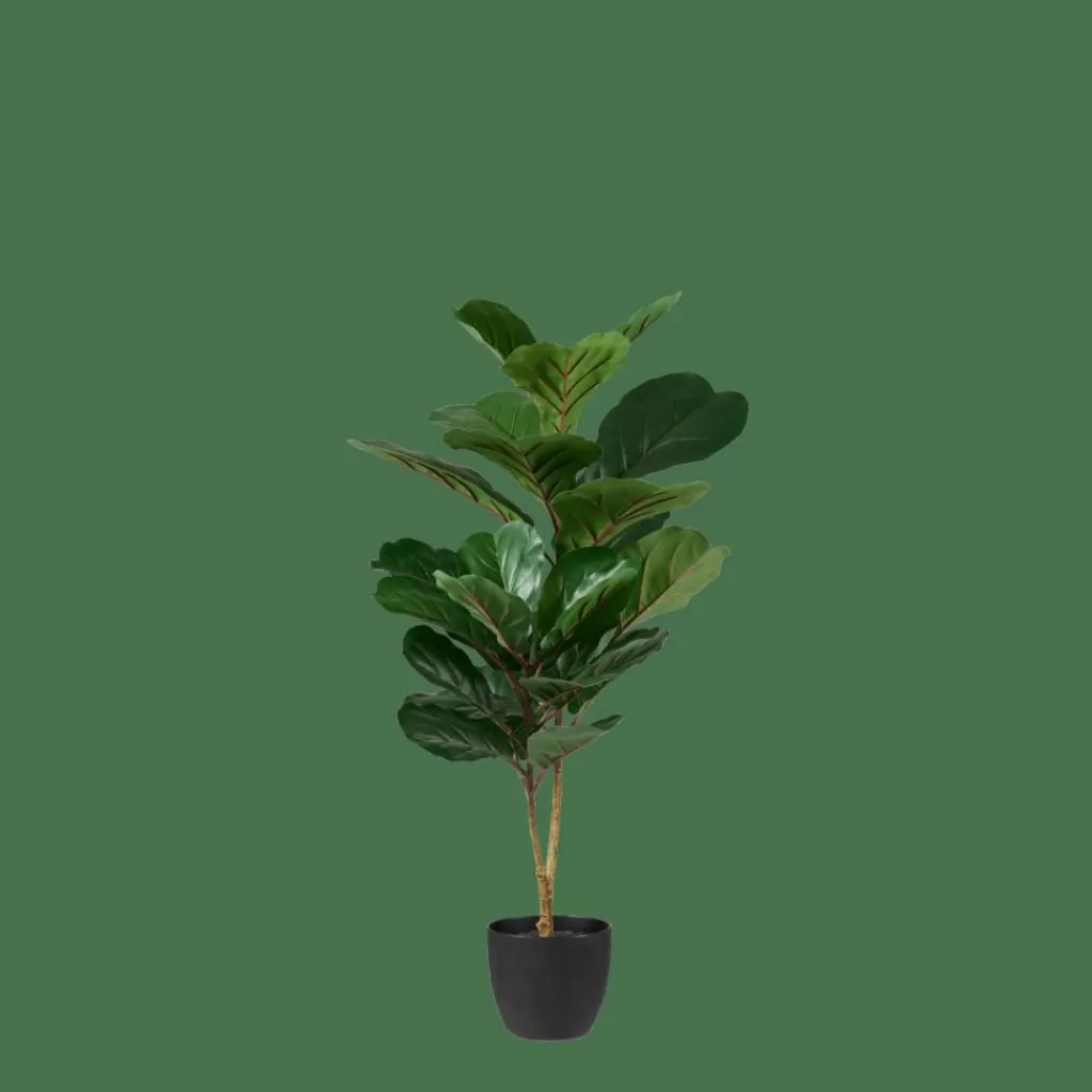 Sale FIGI Negro, Verde Oscuro Plantas Artificiales