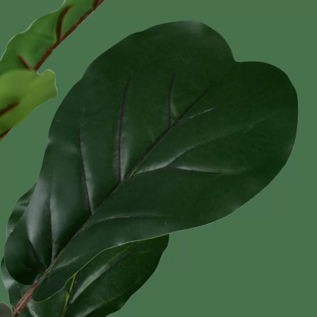 Sale FIGI Negro, Verde Oscuro Plantas Artificiales