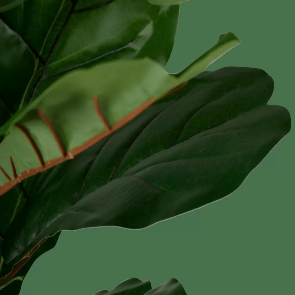Cheap FIGI Planta Artificial Varios Colores Plantas Artificiales