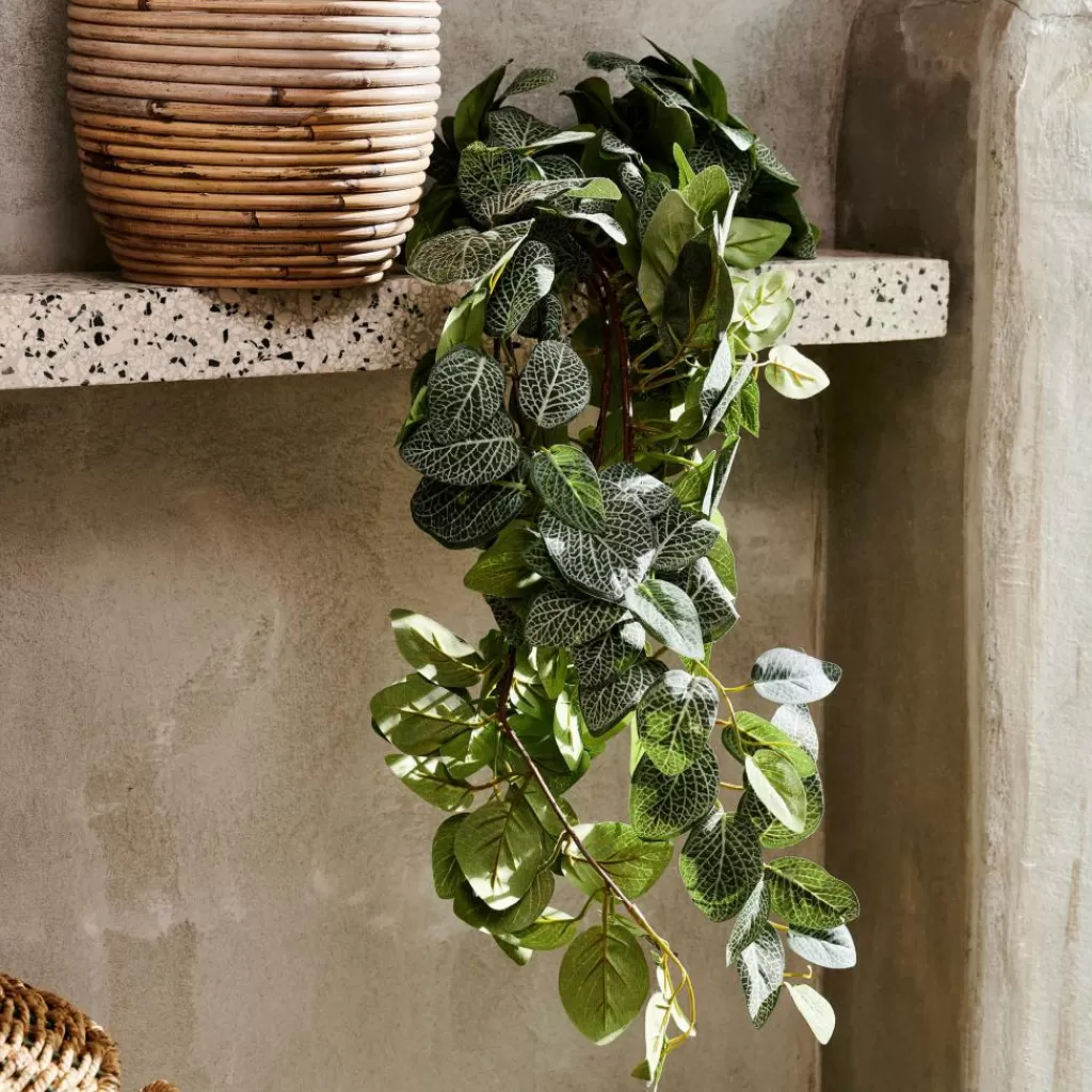 Shop FITTONIA Guirnalda De Hojas Verde Plantas Artificiales | Ramos Artificiales
