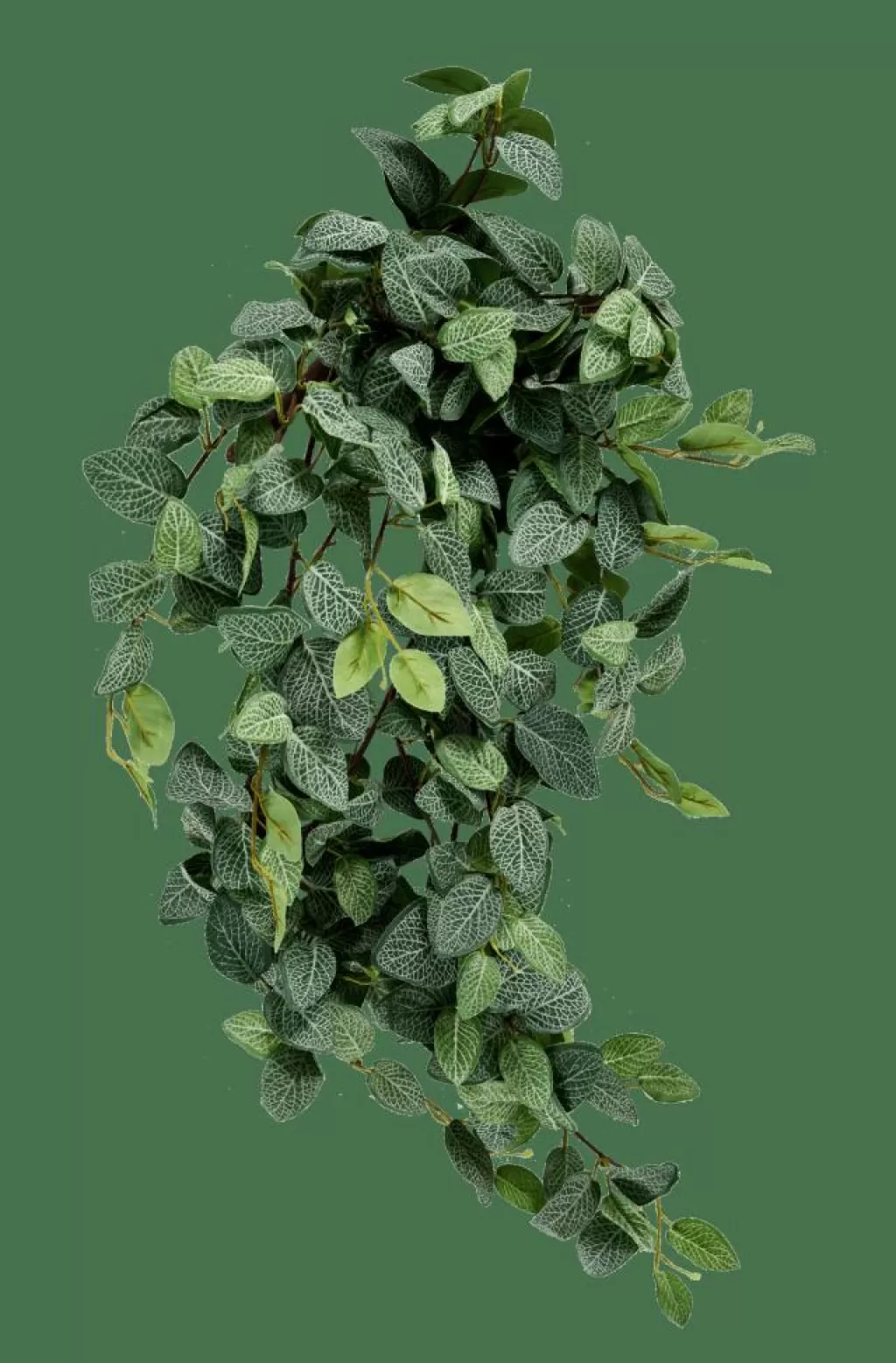 Shop FITTONIA Guirnalda De Hojas Verde Plantas Artificiales | Ramos Artificiales
