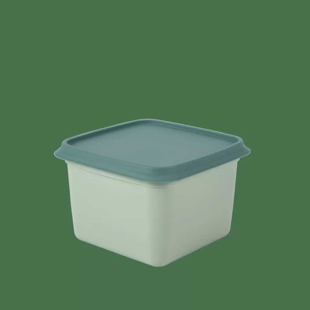 Shop FREEZER Cajas Congeladoras Juego De 10 Menta, Verde Oscuro Taperes