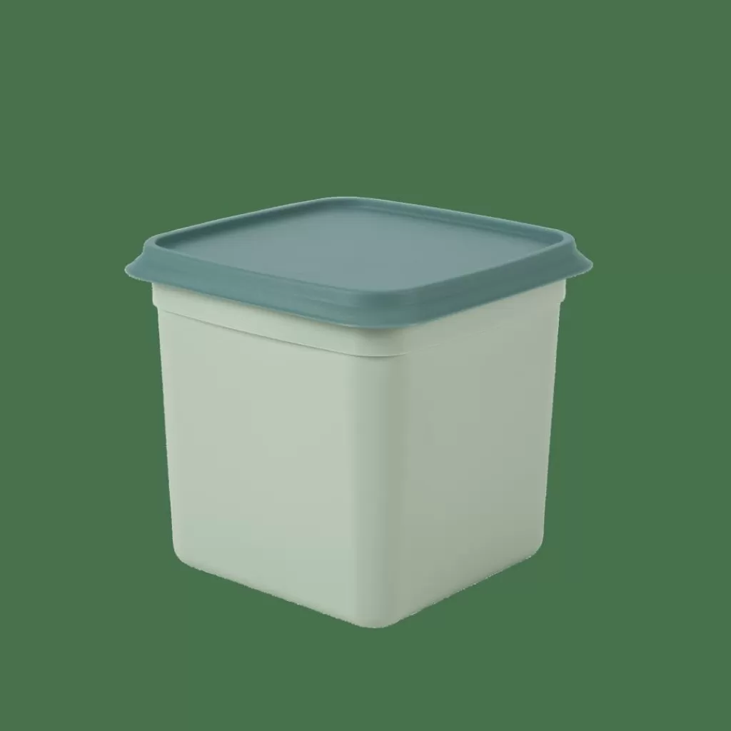 Shop FREEZER Cajas Congeladoras Juego De 10 Menta, Verde Oscuro Taperes