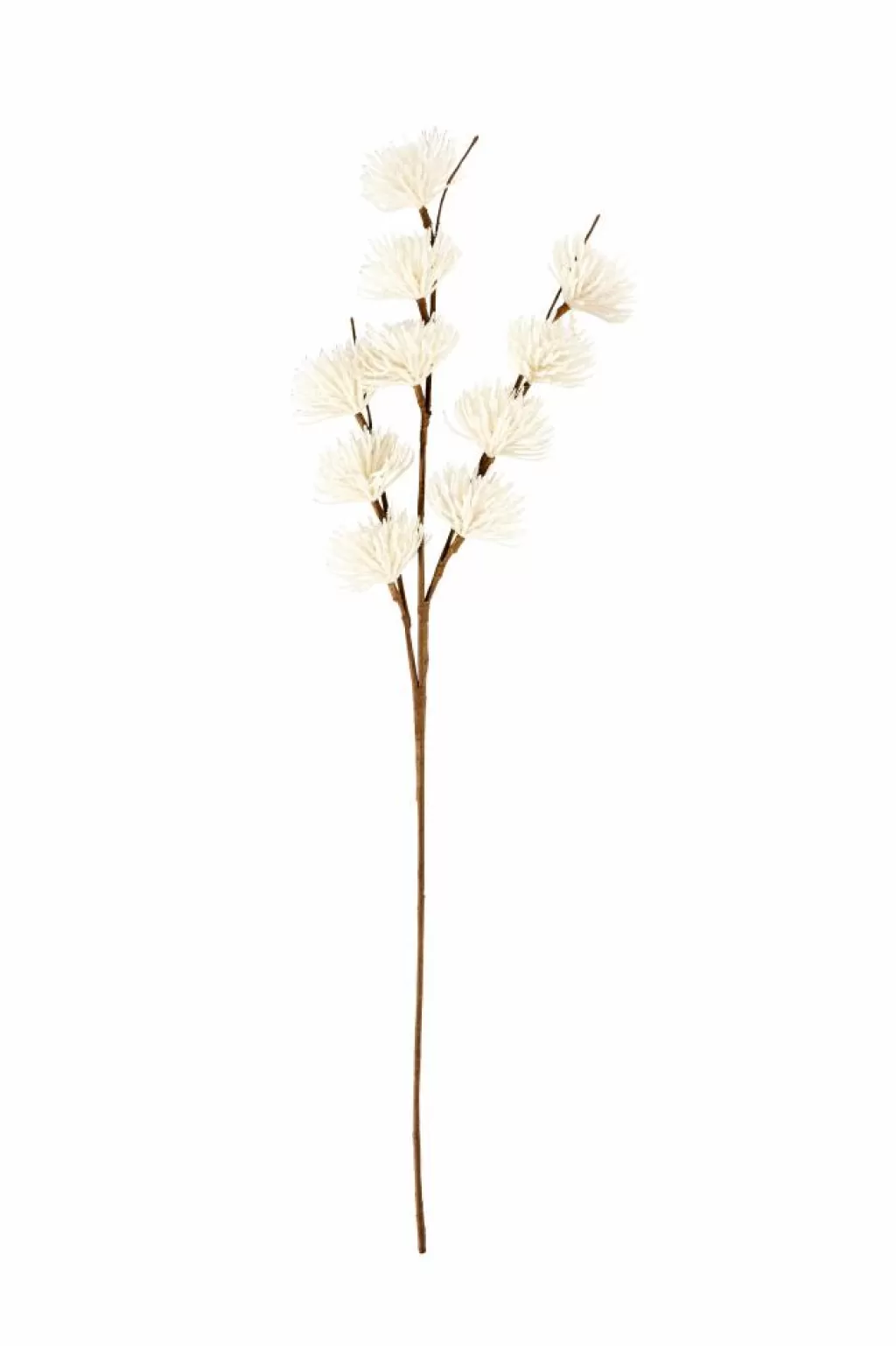 Flash Sale FROST Alerce Blanco Ramos Artificiales