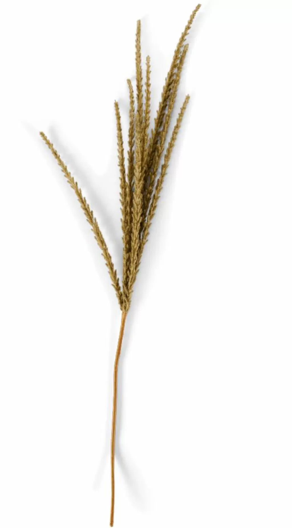 Best GOLDENROD Tallo Blanco Ramos Artificiales
