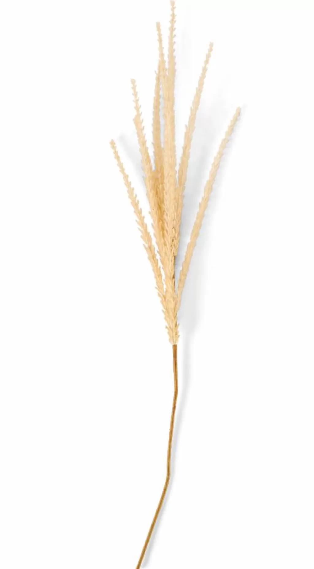Clearance GOLDENROD Tallo Caqui Ramos Artificiales