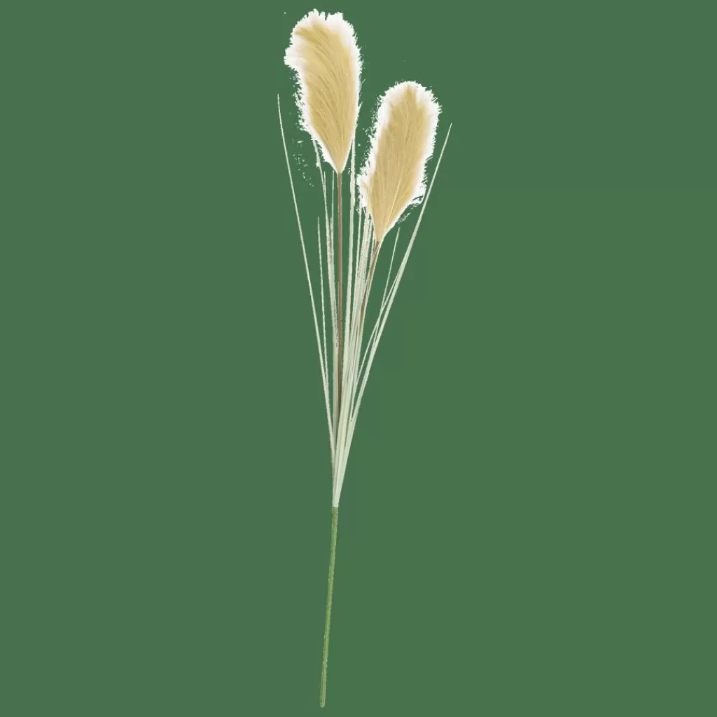 Store GRASS Panícula De Carrizo Verde Ramos Artificiales