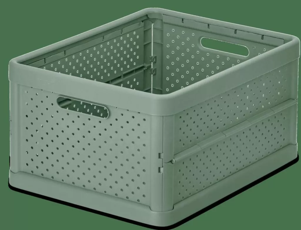 Shop JACQUI Caja Plegable L Verde Arcas Para Almacenaje