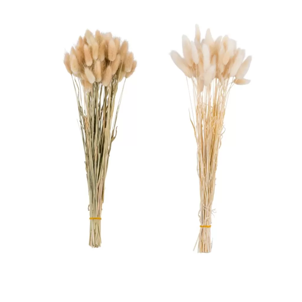 Flash Sale LAGURUS Cola De Liebre Natural Flores Artificiales