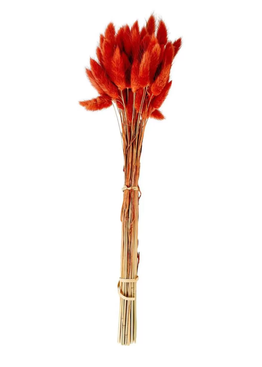 Best LAGURUS Cola De Liebre Rojo Flores Artificiales