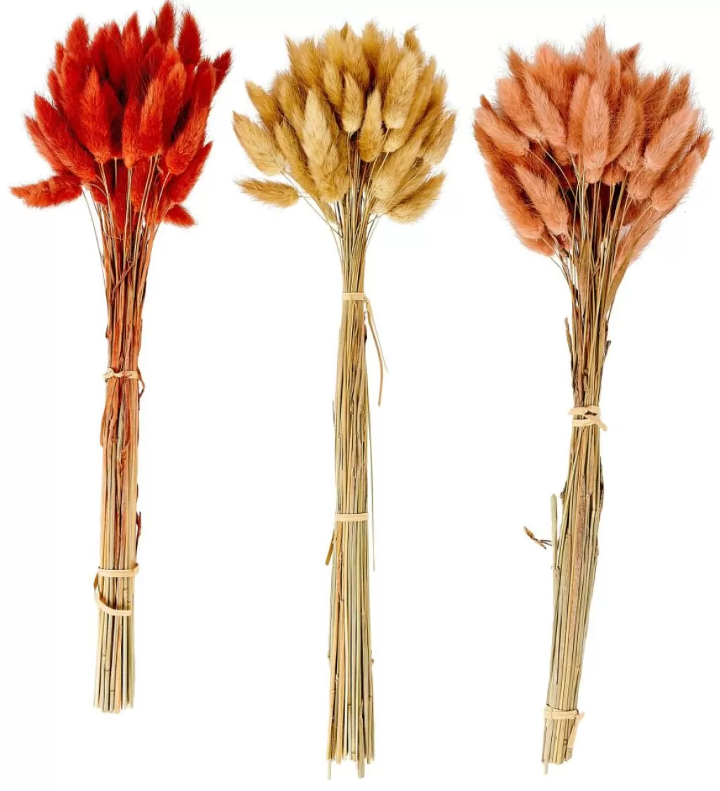 Best LAGURUS Cola De Liebre Rojo Flores Artificiales