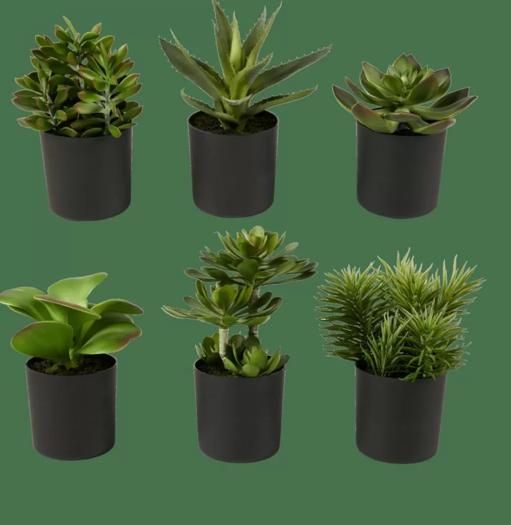 Best Sale MOHAVE Varios Colores Plantas Artificiales
