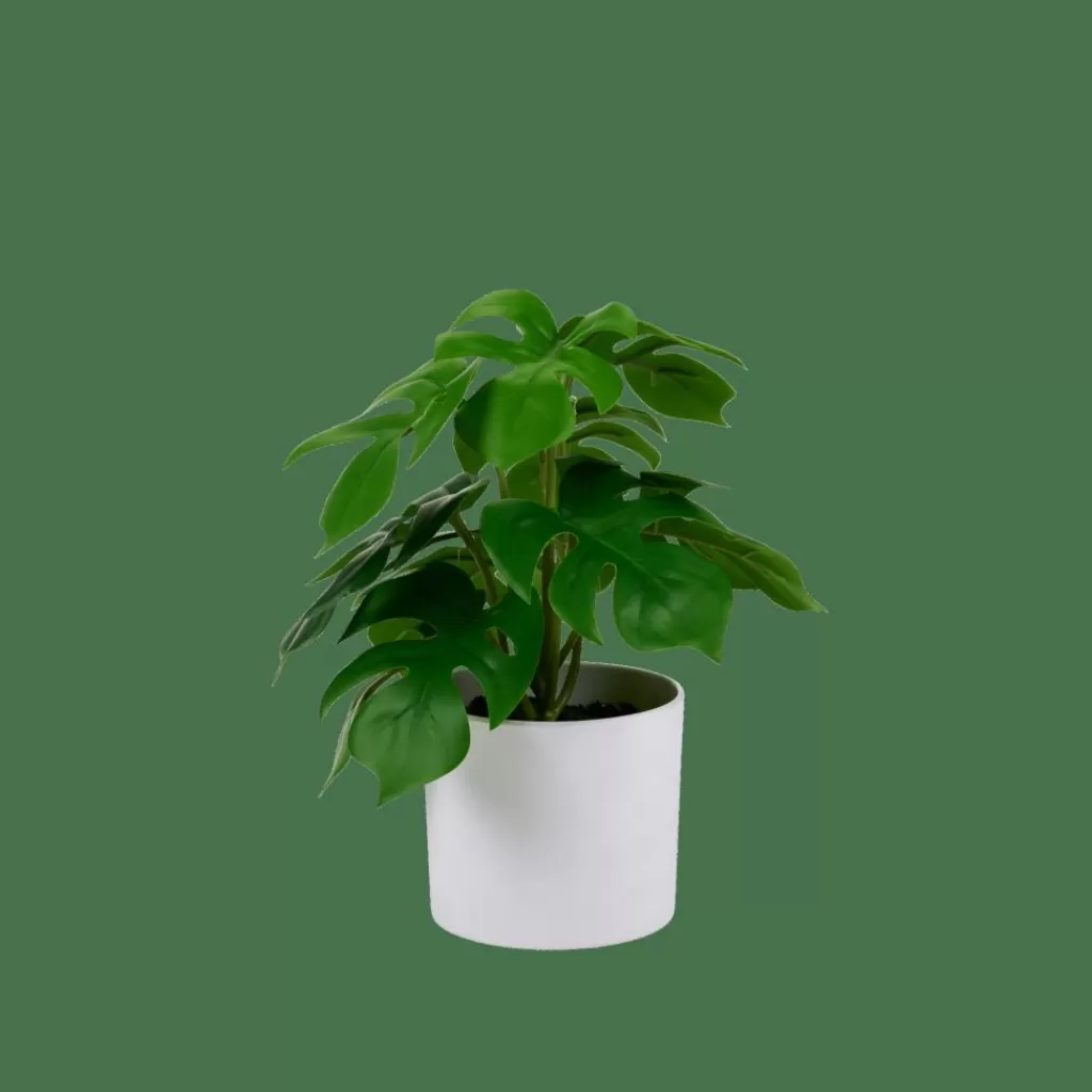 Best Sale MONSTERA Planta Varios Colores Plantas Artificiales