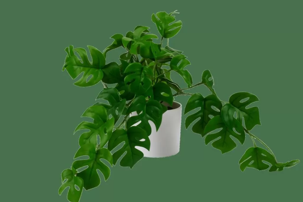 Flash Sale MONSTERA Planta Varios Colores, Blanco, Verde Plantas Artificiales