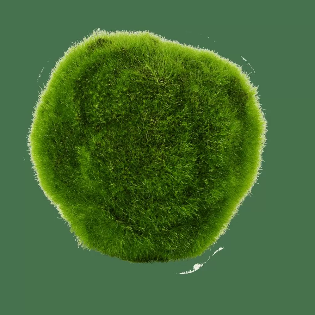 Cheap MOSS Bola De Musgo Verde Plantas Artificiales