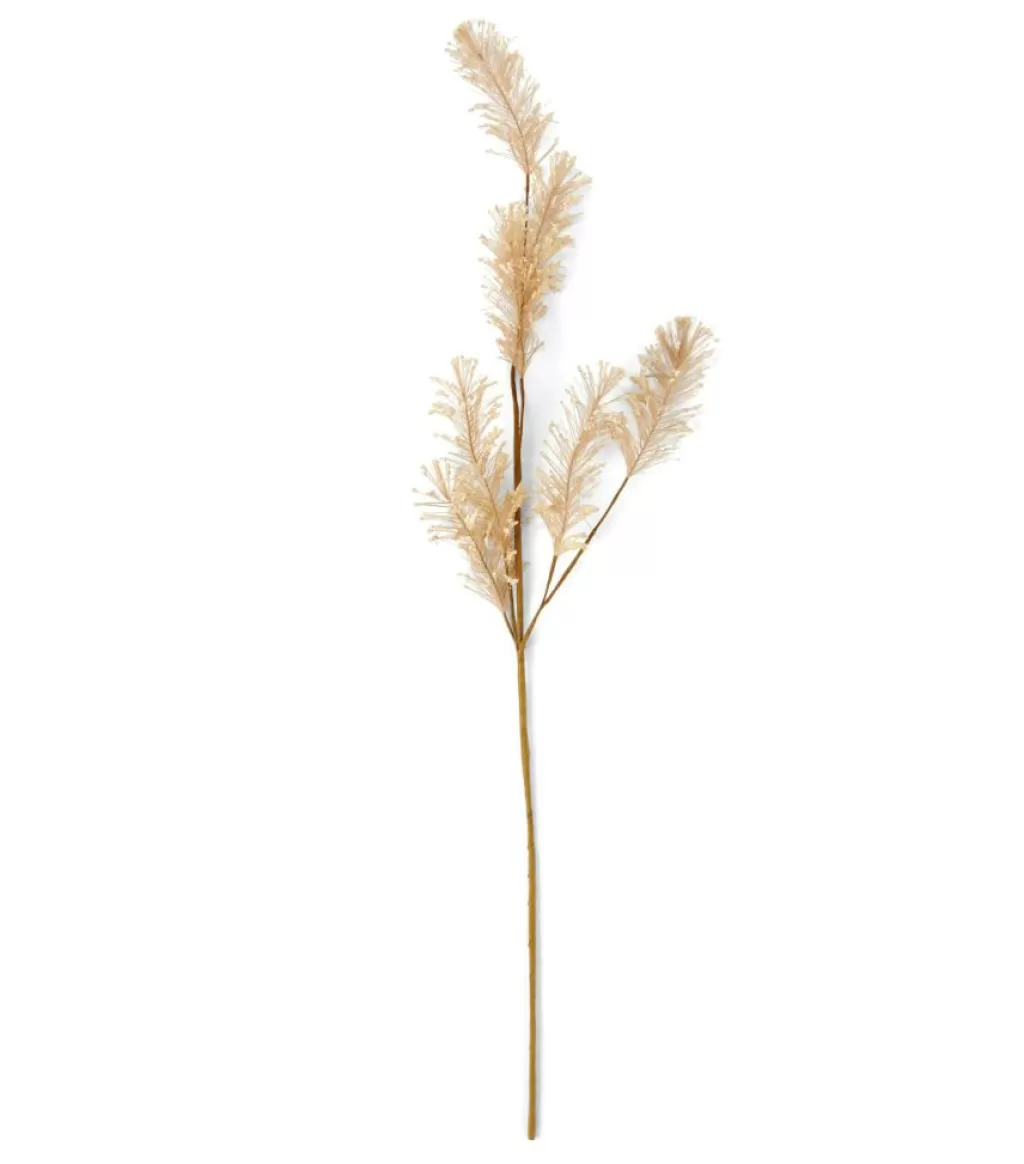 Clearance PAMPA Hierba De Las Pampas Blanco Ramos Artificiales | Otoño