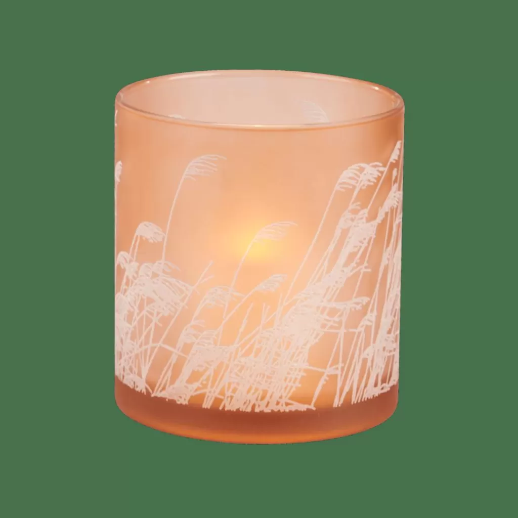 Hot PAMPAS Fotóforo Naranja Fotóforos