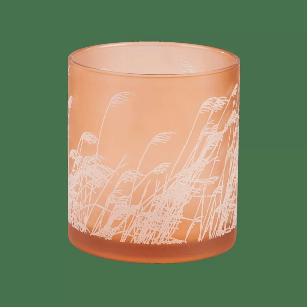 Hot PAMPAS Fotóforo Naranja Fotóforos