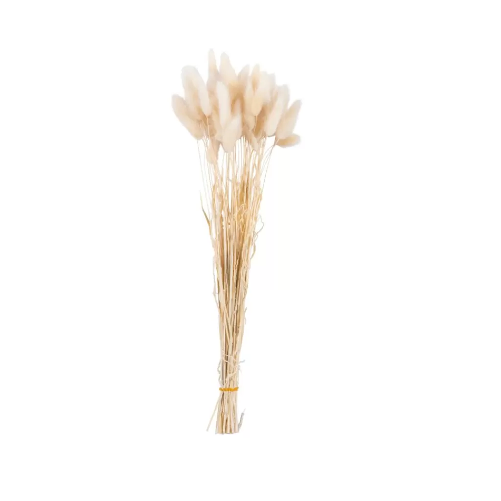 Hot PAMPLONA Florero Crema Floreros