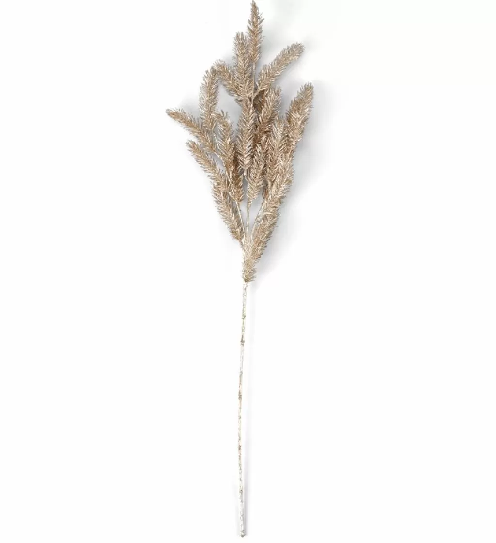 Cheap PINE Seta Otoño