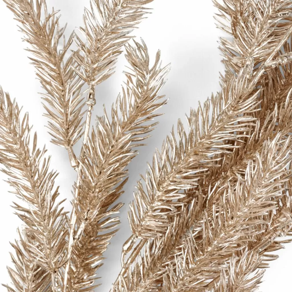 Cheap PINE Seta Otoño