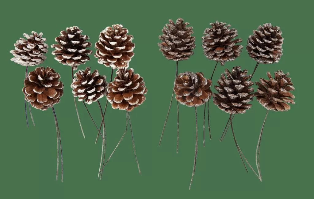 Store PINECONE Piñas Juego De 6 2 Colores Blanco, Plateado Otoño