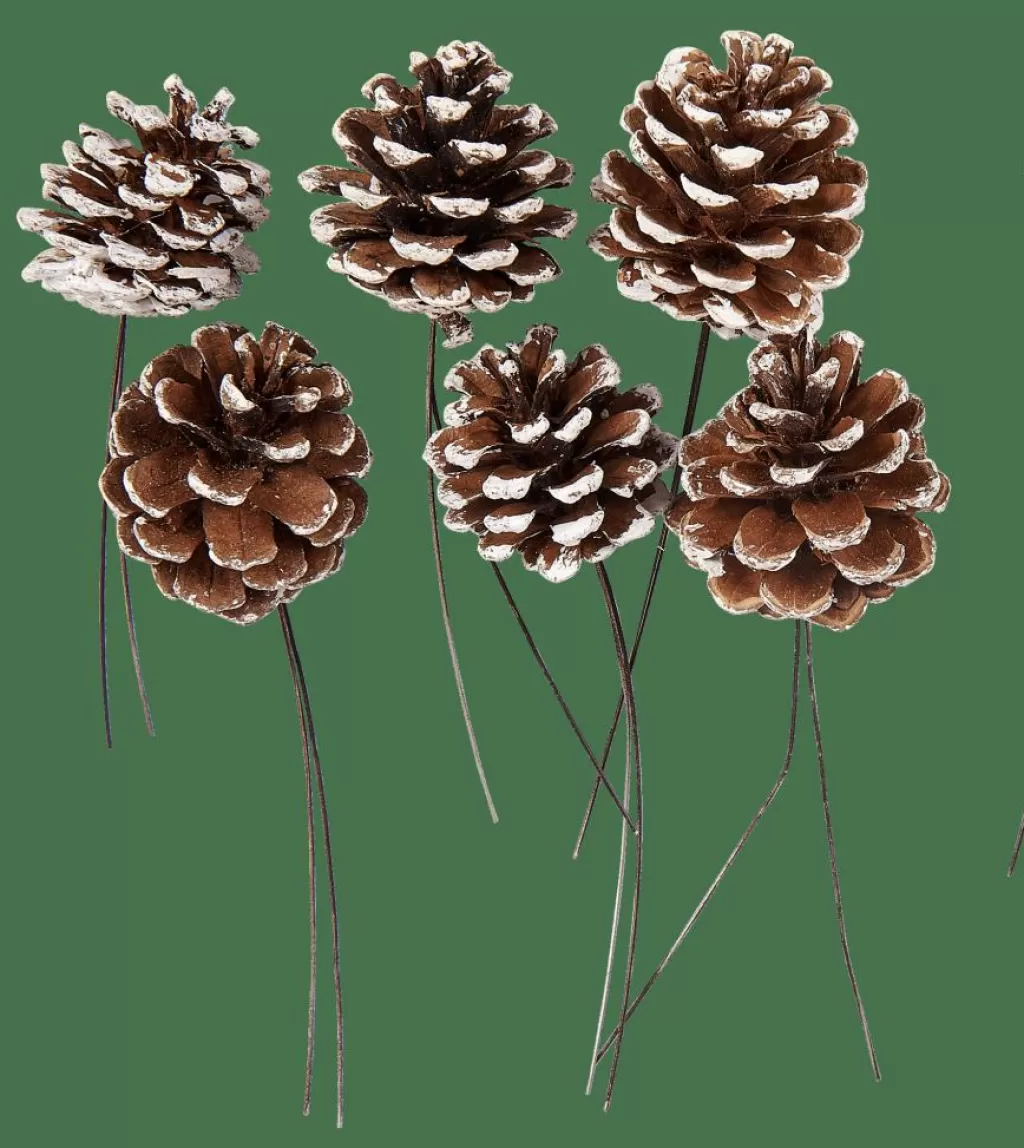 Store PINECONE Piñas Juego De 6 2 Colores Blanco, Plateado Otoño