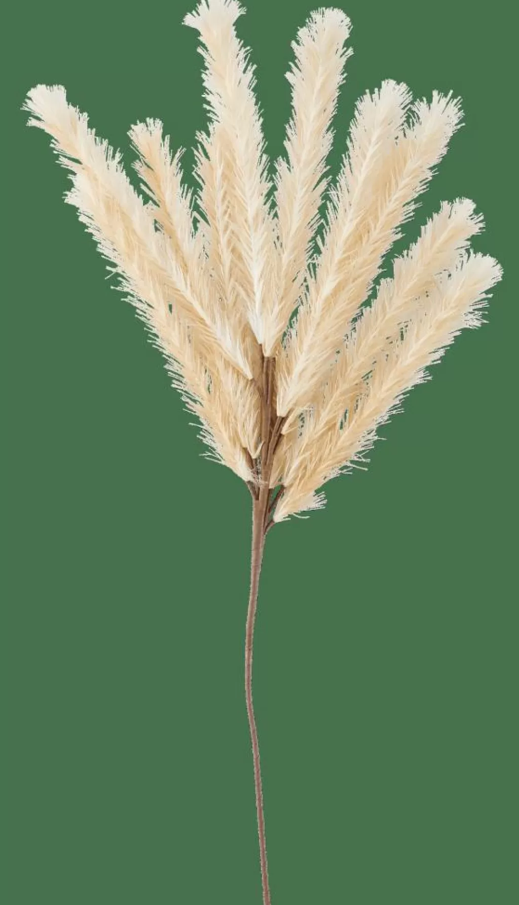 Shop PLUME Pluma Artificial Beis Ramos Artificiales