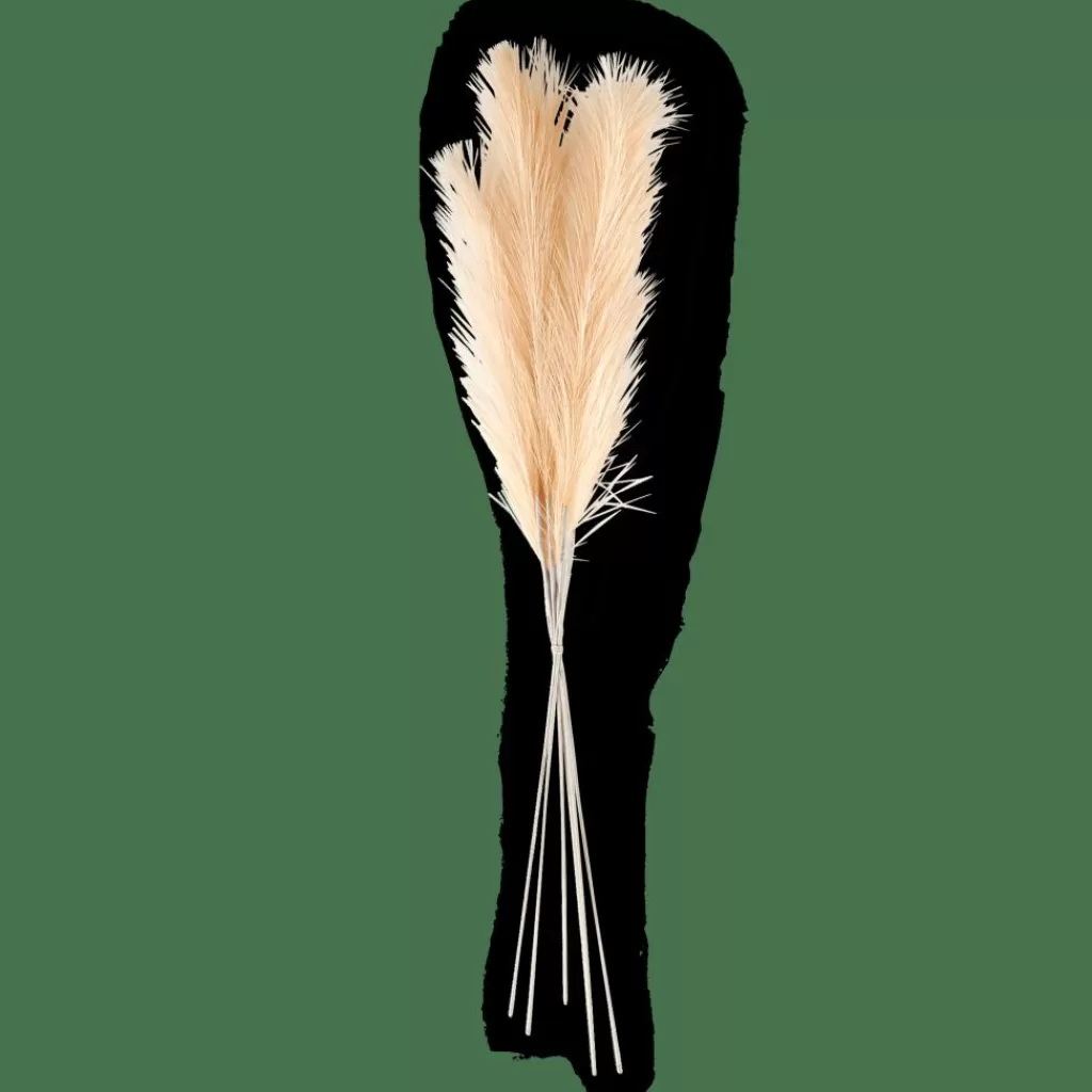 Store PLUME Plumas Decorativas Crema Ramos Artificiales