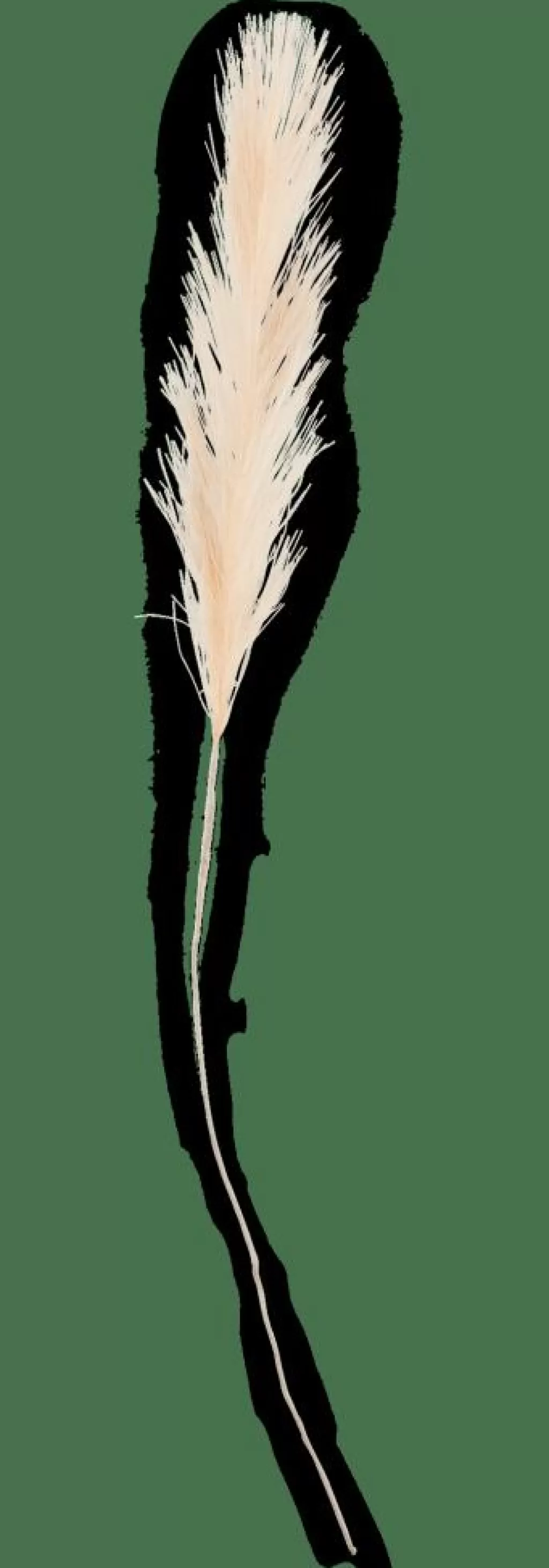 Store PLUME Plumas Decorativas Crema Ramos Artificiales