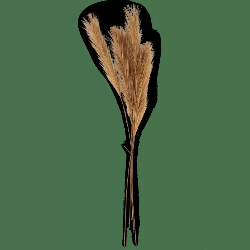 Store PLUME Plumas Decorativas Marrón Ramos Artificiales