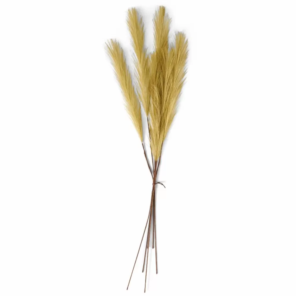 Best Sale PLUME Plumas Decorativas Marrón Claro Ramos Artificiales
