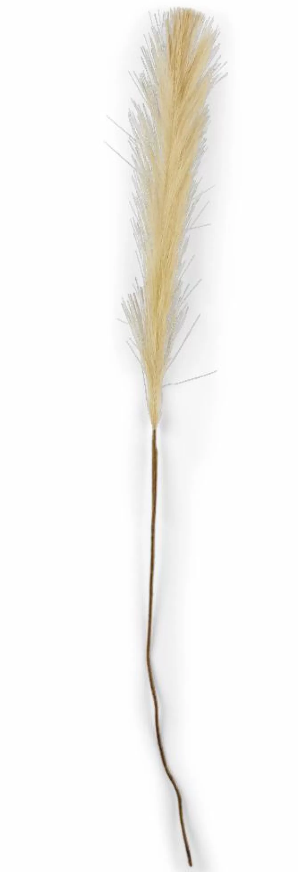 Best Sale PLUME Plumas Decorativas Marrón Claro Ramos Artificiales