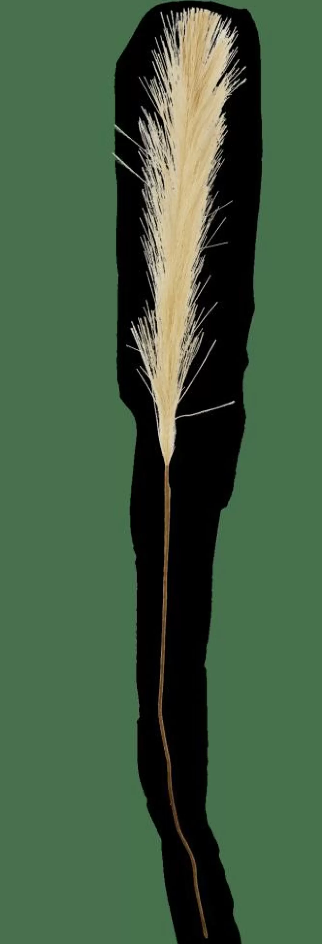 Best PLUME Plumas Decorativas Verde Ramos Artificiales